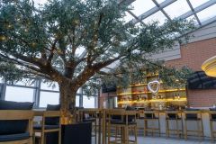 DSC2949-Enhanced-NR-1